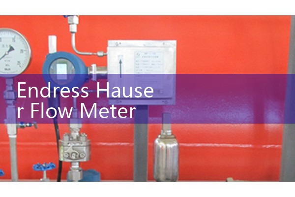 Endress Hauser Flow Meter Catalogue Download: Complete Promag, Promass, and Prowirl Guides
